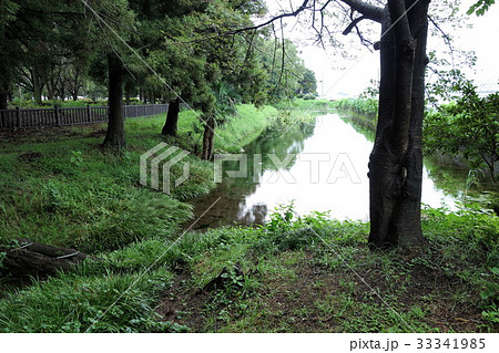 ほたるの里公園・矢太神水源 ほたるの里公園・矢太神水源 33341985