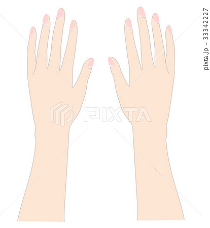 女性の手のイラスト素材 女性の手のイラスト素材