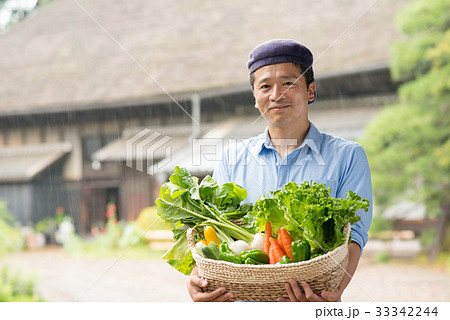 農業 ミドル 男性 野菜 農家 スローライフ イメージ 33342244