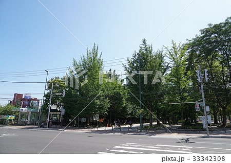 地下鉄中島公園駅周辺風景（札幌中央区） 33342308