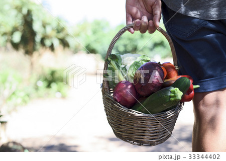 young man with a basket full of vegetables young man with a basket full of vegetables 33344402