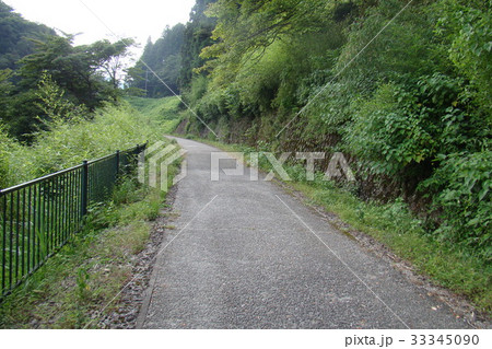 夏の香り漂う遊歩道 33345090