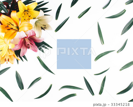 Beautiful lilies on white background. Beautiful lilies on white background. 33345218