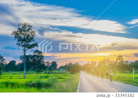 silhouette the sunset, paddy rice field, people dr 33345382