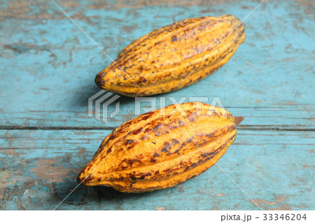 Cacao in Guatemala ／　カカオ in グアテマラ 33346204