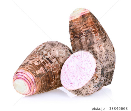 Taro isolated on white background 33346668