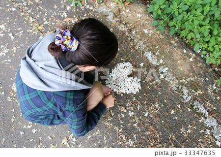 白色 白 ホワイト 33347635