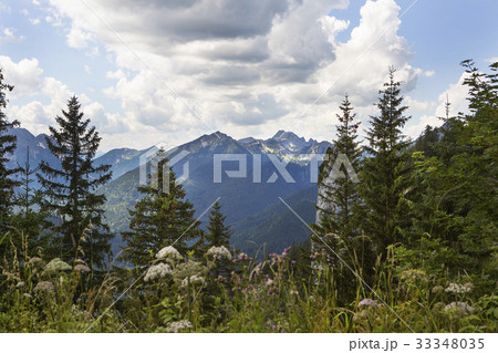 Panorama view from Bavarian Alps, Germany 33348035