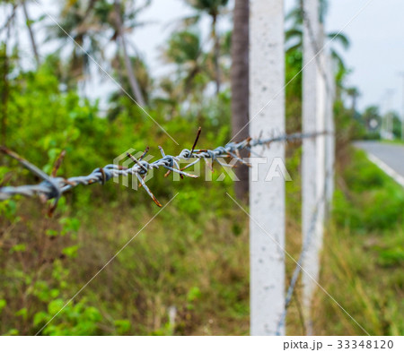 Concrete posts lined up a fence of barbed wire Concrete posts lined up a fence of barbed wire 33348120