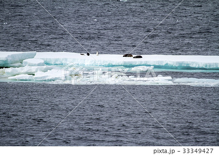 Antarctica - Floating Ice - Global Warming 33349427