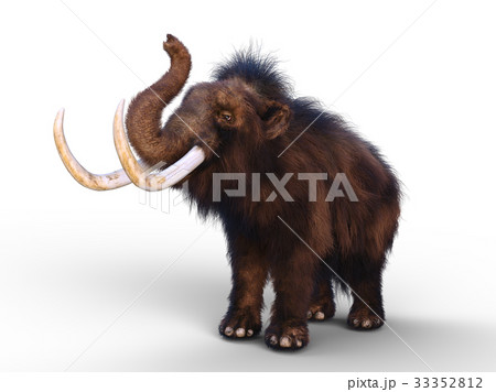 マンモス マンモス 33352812