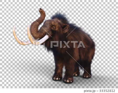 マンモス マンモス 33352812