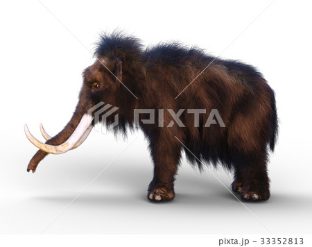 マンモス 33352813