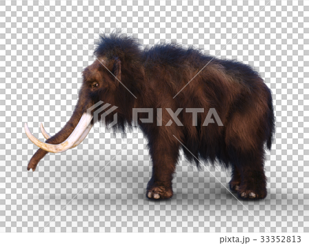 マンモス 33352813