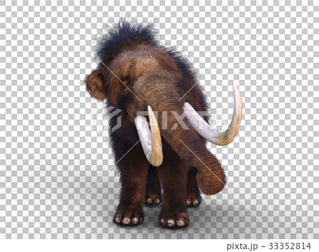 マンモス 33352814