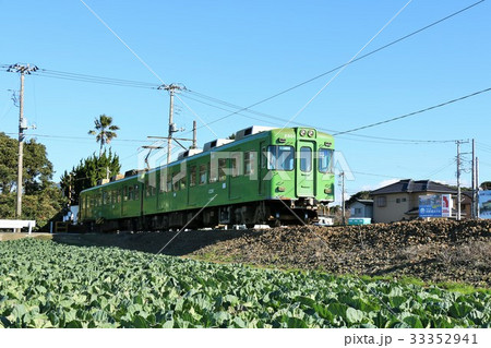 千葉県　銚子電鉄とキャベツ畑 33352941