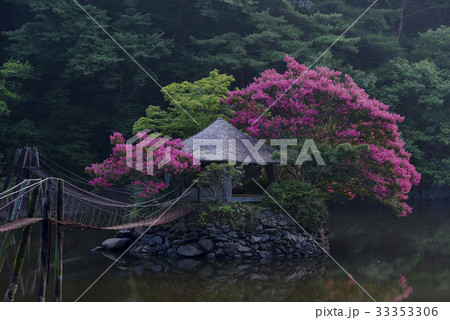 ベロン木 橋 湖 33353306