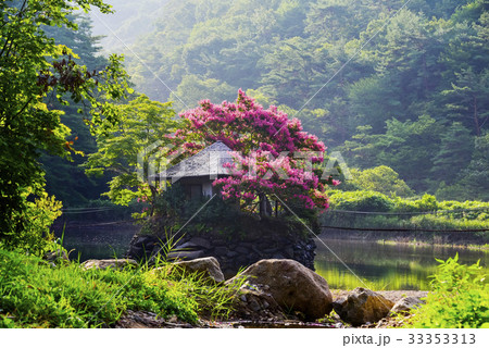 ベロン木 橋 湖 33353313