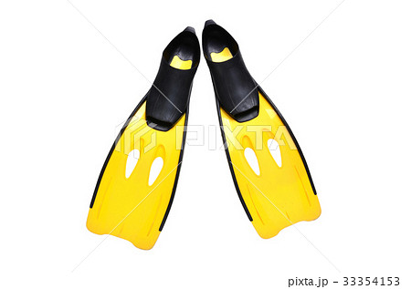 yellow fin isolated yellow fin isolated 33354153