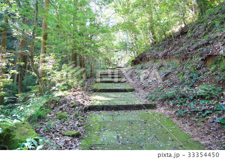 山へ行こう 33354450