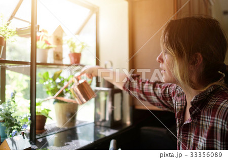 Woman watering plants at home 33356089