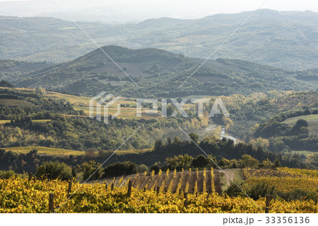 Italy, Tuscany, Ciacci Piccolomini D'Aragona, Landscape with hills covered by autumn trees, river and small vineyard 33356136