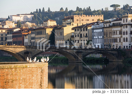 Italy, Tuscany, Florence, Seagulls against cityscape at Arno riverbank Italy, Tuscany, Florence, Seagulls against cityscape at Arno riverbank 33356151