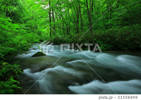 夏の奥入瀬渓流 33356949