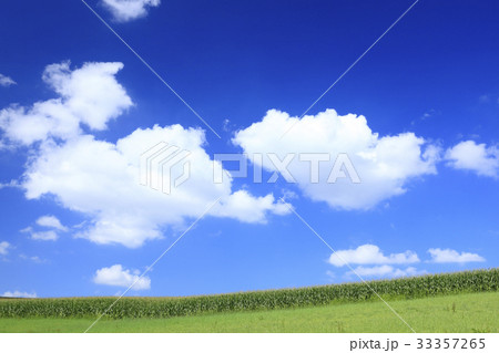 北海道　美瑛町　とうもろこし畑と流れる雲 33357265