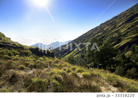 Green view on the edge senaru at Mount Rinjani 33358220
