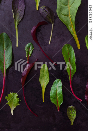 baby salad leaves baby salad leaves 33359942