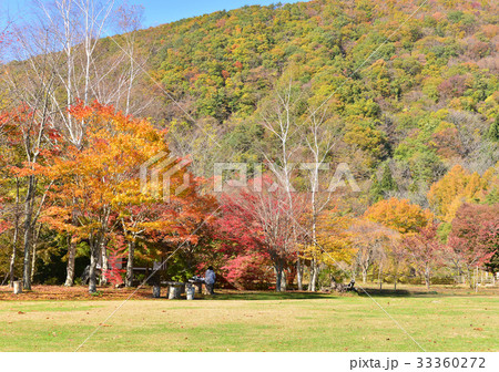 西湖野鳥の森公園の紅葉-27804 33360272