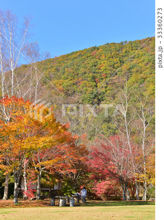 西湖野鳥の森公園の紅葉-27805 33360273
