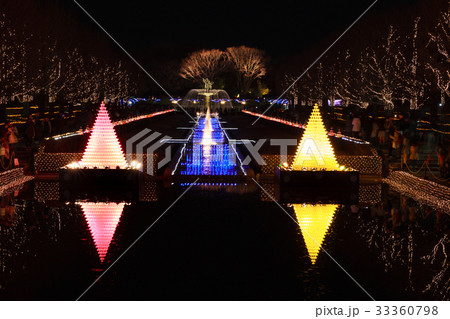 国営昭和記念公園のイルミネーション 33360798