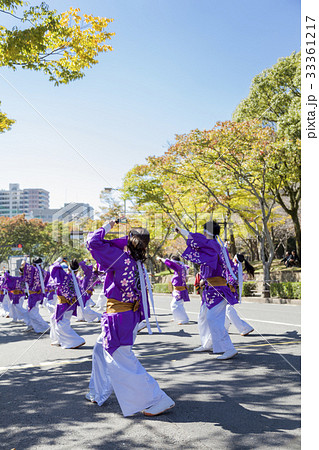 よさこい 祭り 33361217