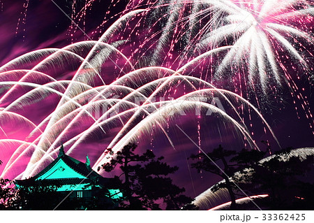 華やかな岡崎城 華やかな岡崎城 33362425