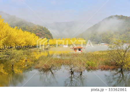 紅葉 風景 観光地 33362861