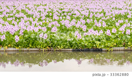 本薬師寺跡 33362880