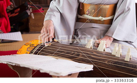 お琴を弾く女性の手元の写真素材
