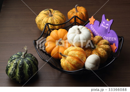ハロウィン 33366088
