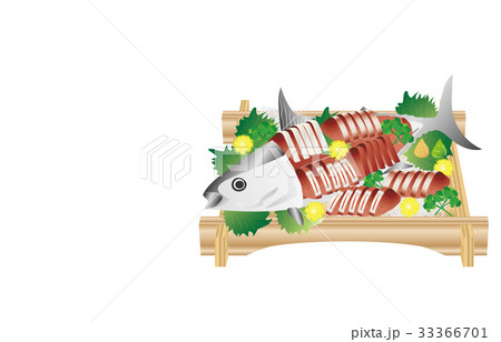 春の風物詩かつお 春の風物詩かつお 33366701