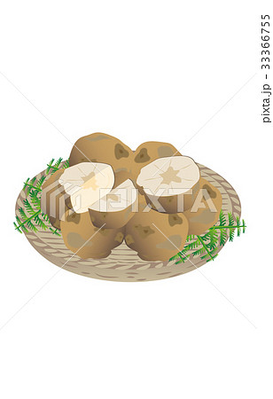 春の風物詩じゃがいも 33366755