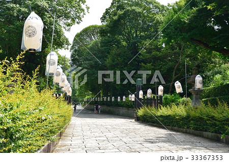 京都　大谷祖廟 33367353