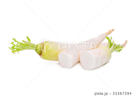 fresh daikon radish isolated on the white fresh daikon radish isolated on the white 33367394