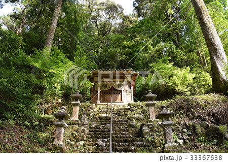 浜松市方広寺　推河大竜王堂 33367638