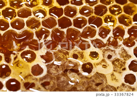 Honeycomb with honey in closeup. Honeycomb with honey in closeup. 33367824