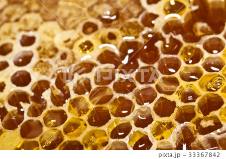 Honeycomb with honey in closeup. Honeycomb with honey in closeup. 33367842