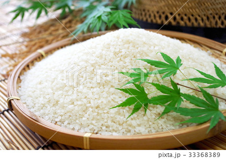 収穫の秋 収穫の秋 33368389