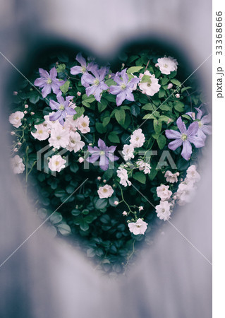 バラが咲く、イングリッシュガーデンの風景 33368666