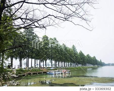 武漢東湖　風景　 33369302